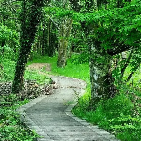 Casa Matria * Ponteareas