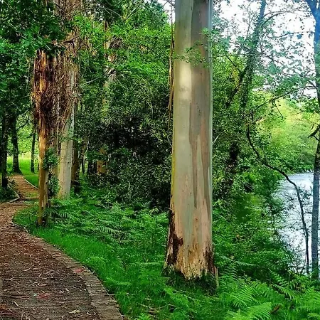 Casa Matria * Ponteareas