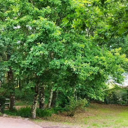 Casa Matria * Ponteareas