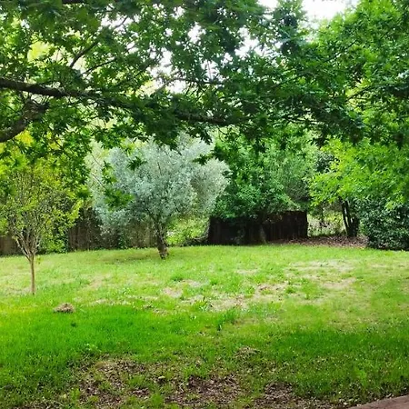 Nyaraló Casa Matria *