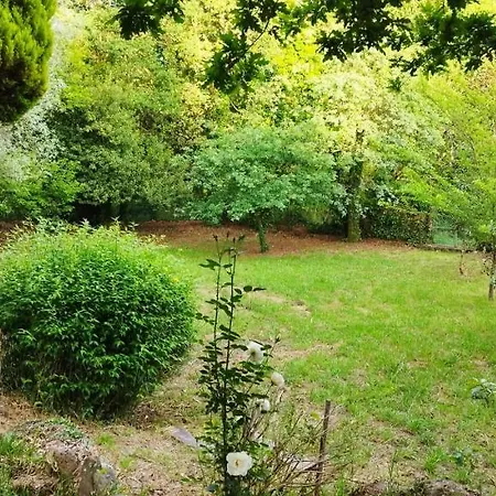Casa Matria *