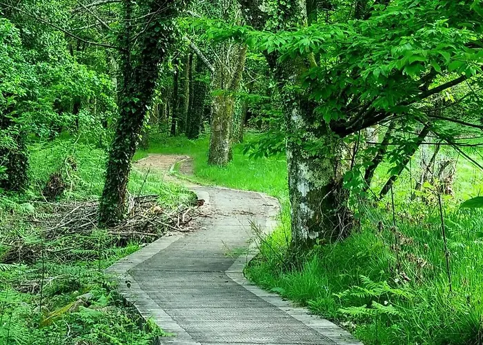 Casa Matria * Ponteareas