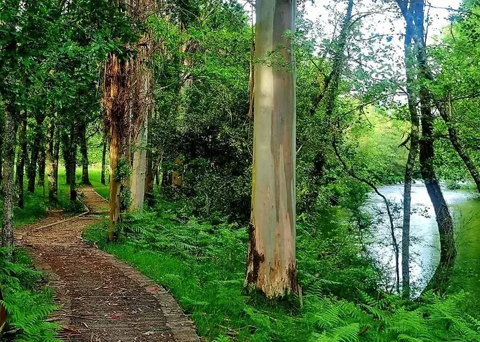 Casa Matria * Ponteareas