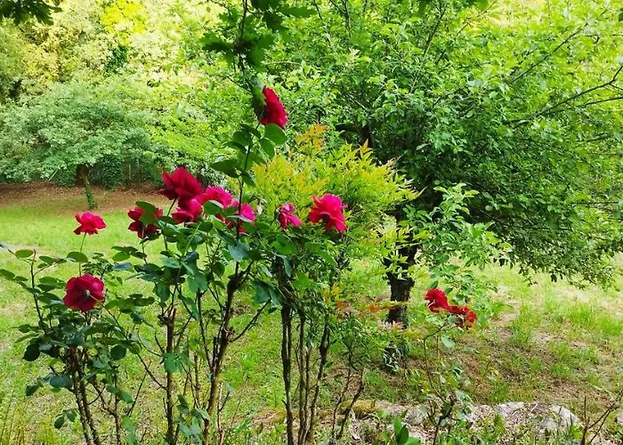 Dom wakacyjny Casa Matria *